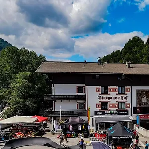 Pinzgauerhof - Inclusive Evening Dinner And Joker Card In Summer Saalbach-Hinterglemm